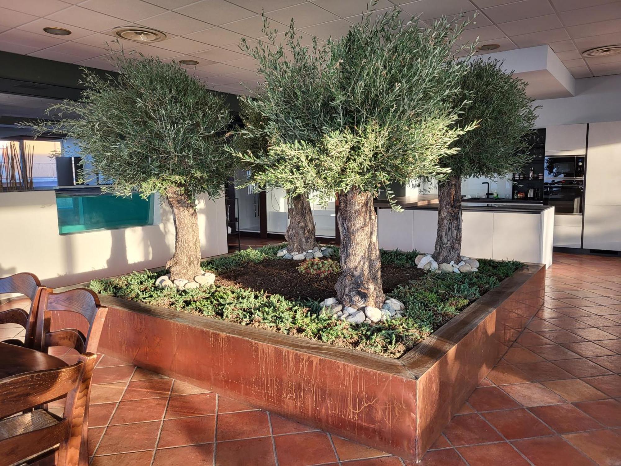Bellavista Suite Spa Staffolo Exterior foto